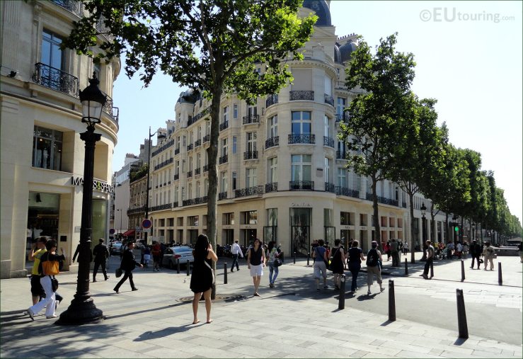 Trees and buildings along Champs Elysees